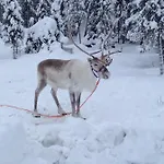 Daire Sampo Rovaniemi