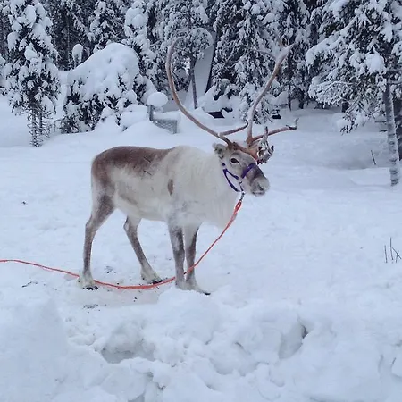 Lägenhet Sampo Rovaniemi