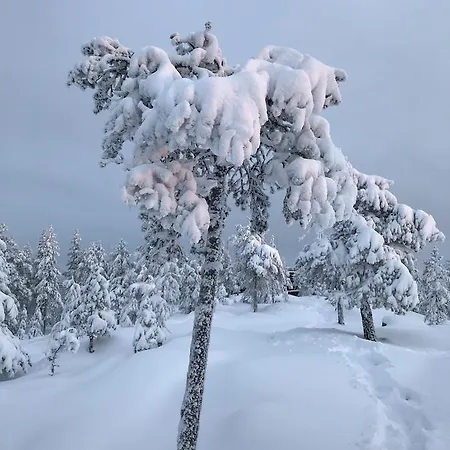 Lägenhet Sampo Rovaniemi