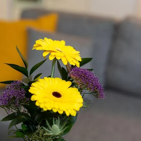 Apartment Sampo *