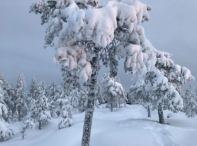 דירה Sampo רובניימי